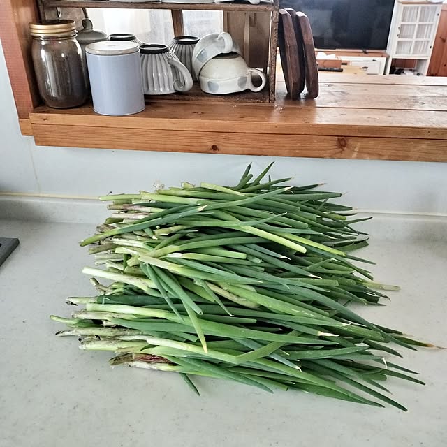 feuileさんの実例写真