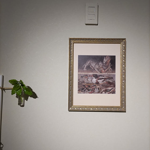 Maroさんの実例写真