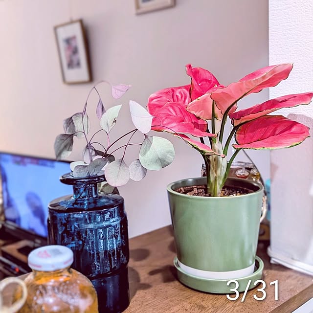 mi-saさんの部屋