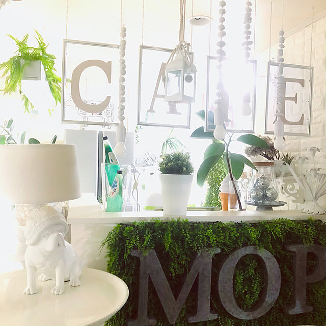 Mopmamaさんの実例写真