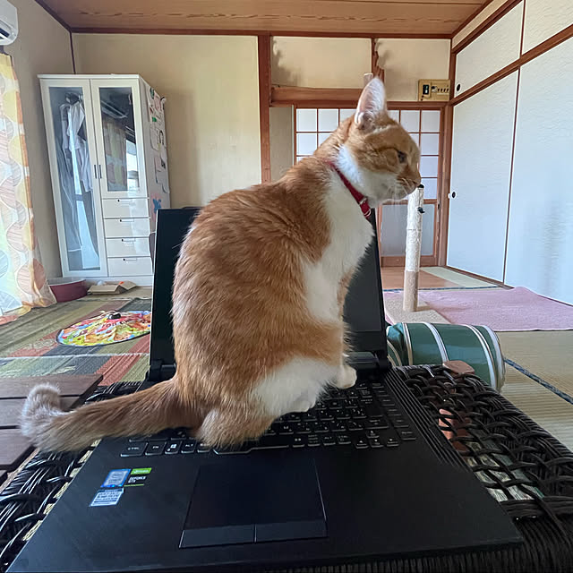 cassandra24mさんの実例写真