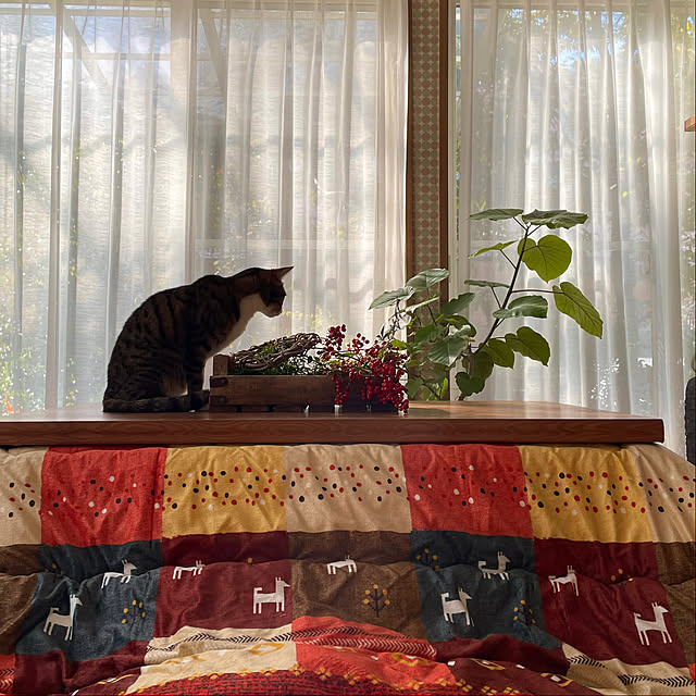 nobikoさんの部屋