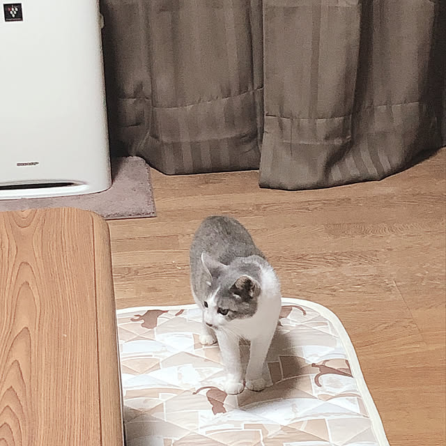 earthさんの実例写真