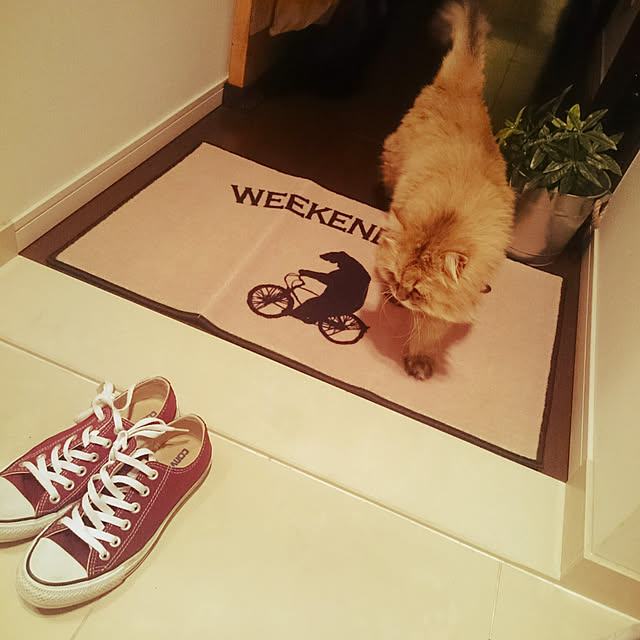 pinonyancoさんの実例写真