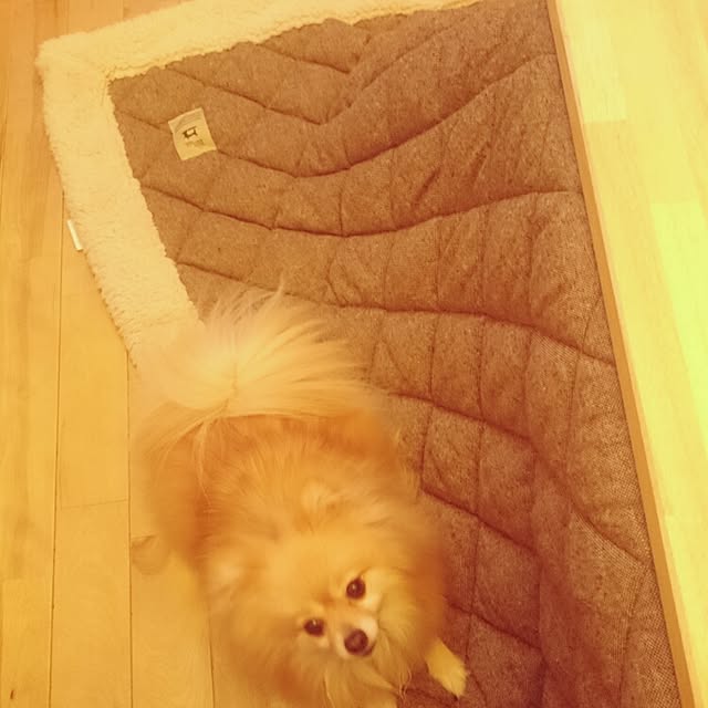 naho81078さんの実例写真