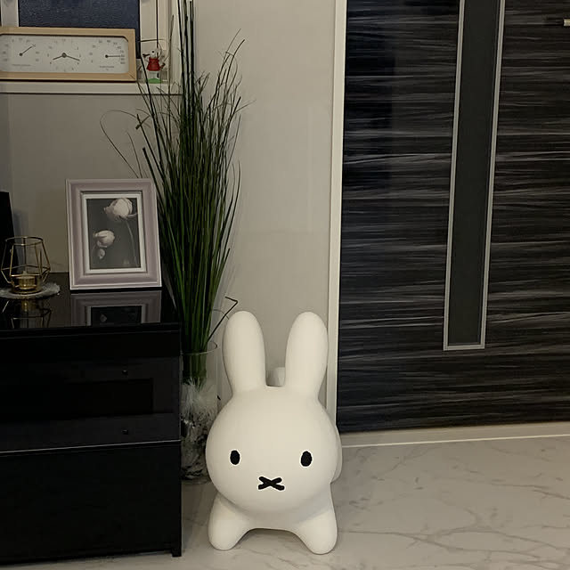 ranさんの実例写真