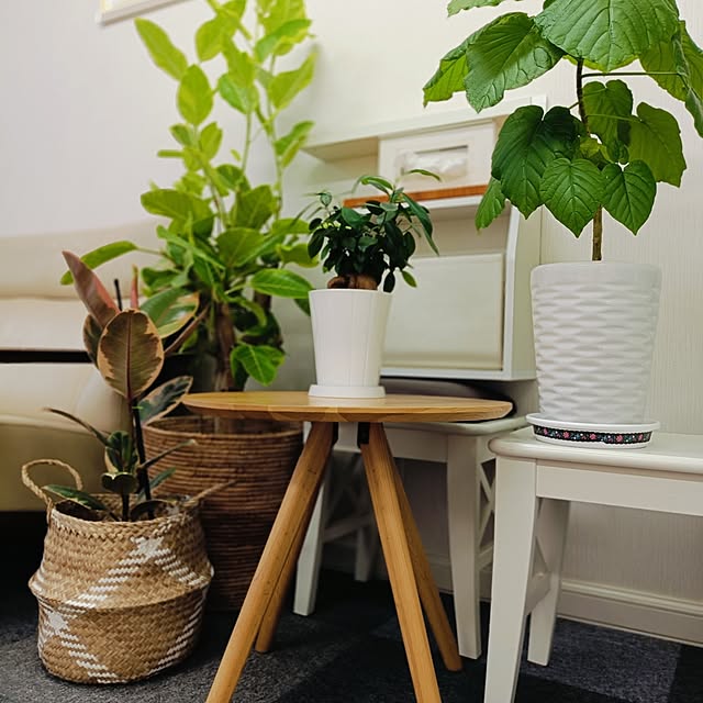 annaさんの部屋