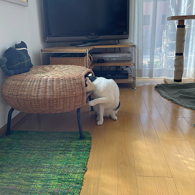 nobikoさんの実例写真