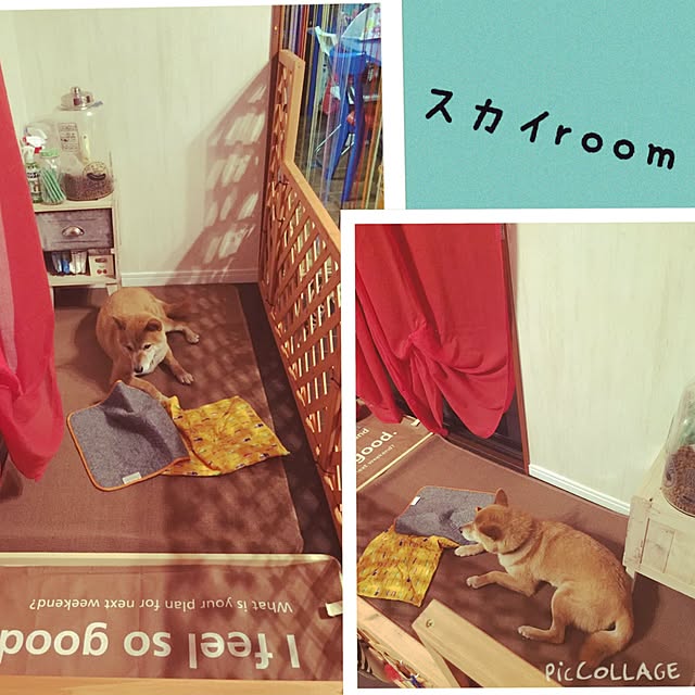 shibaさんの実例写真