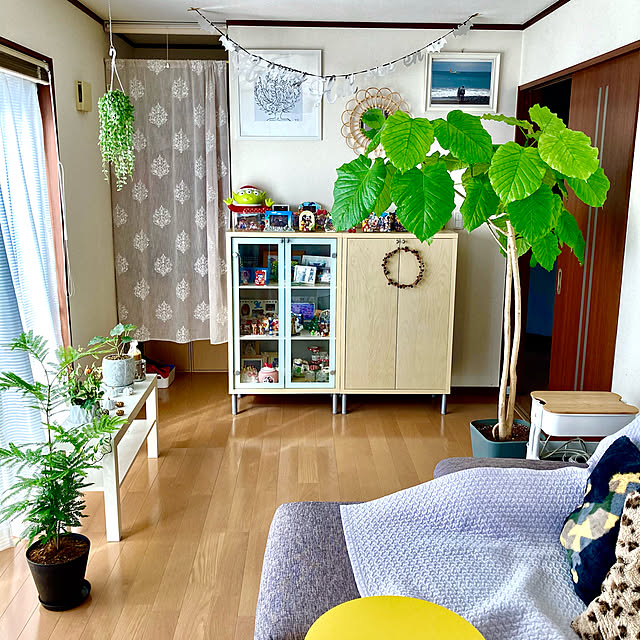 65-24oxoさんの実例写真