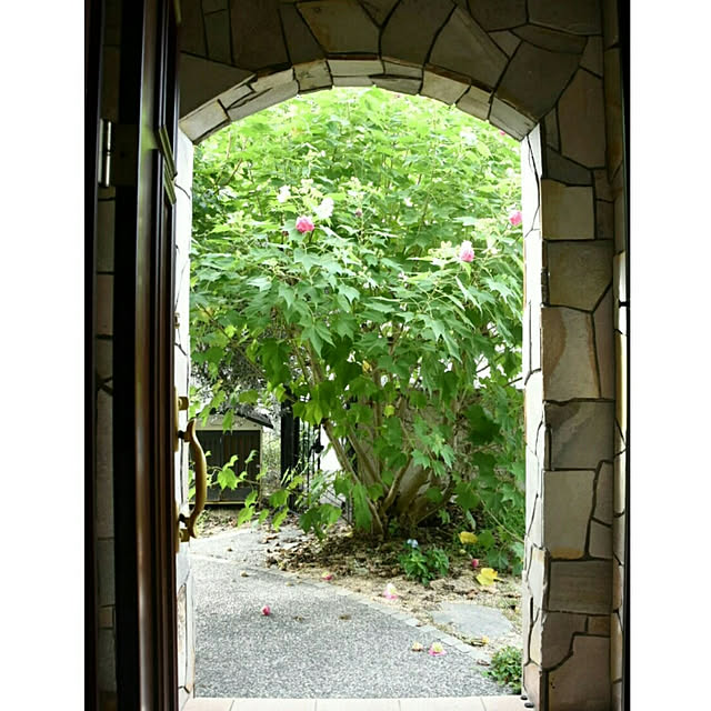 ruru357さんの実例写真