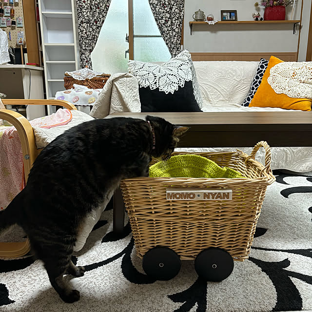 momocchiさんの部屋
