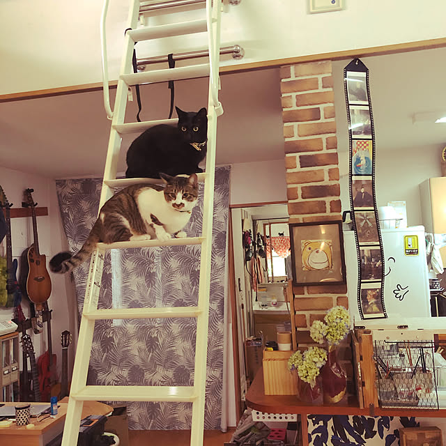 jijiさんの実例写真