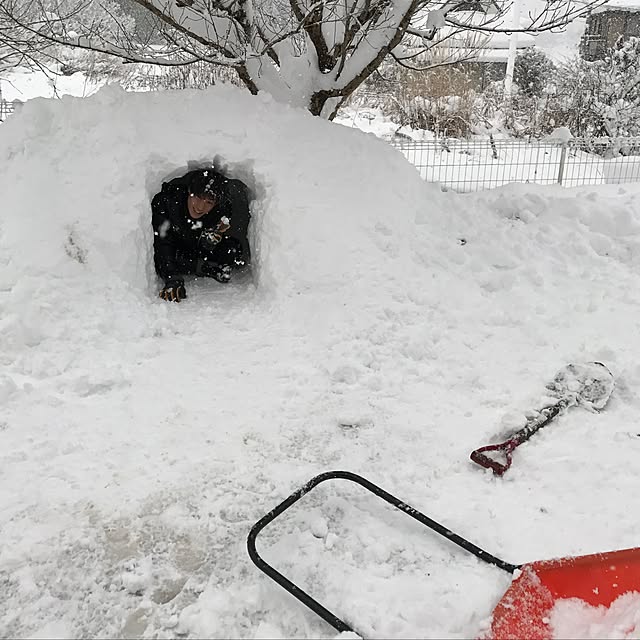 pepeさんの実例写真