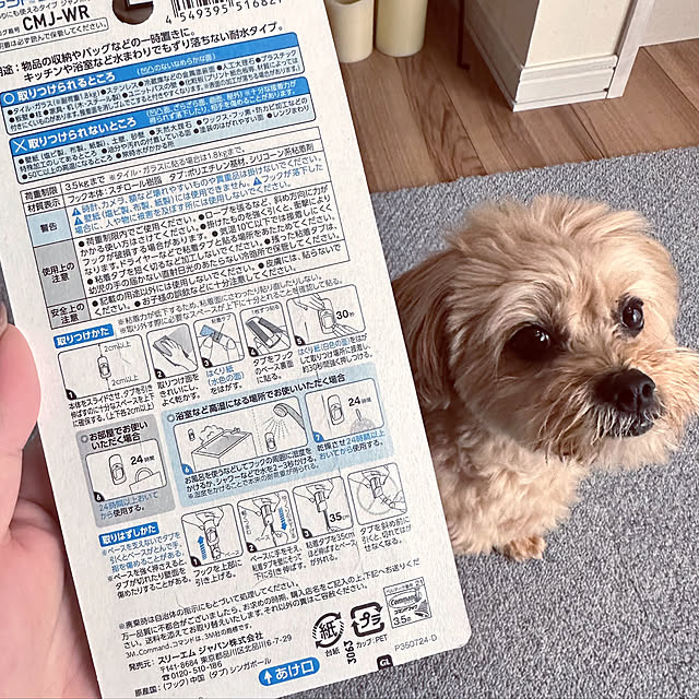 ikt.tamaさんの実例写真