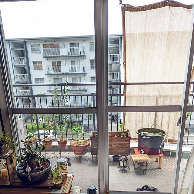 mi-saさんの部屋