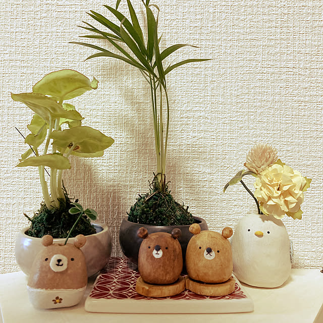 koroさんの実例写真