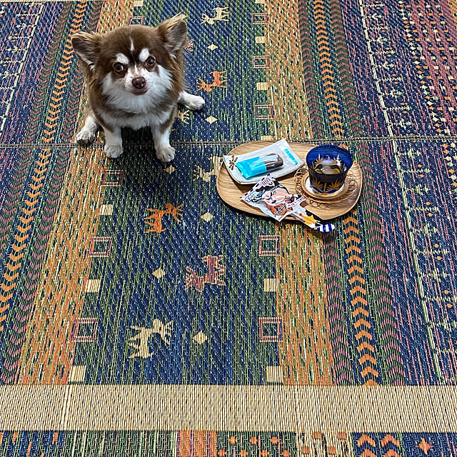 chIoeさんの実例写真