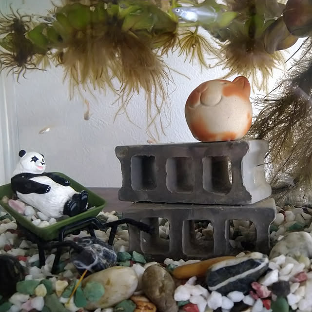 himaさんの実例写真