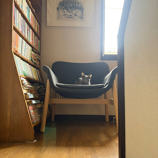 mayugehaさんの実例写真