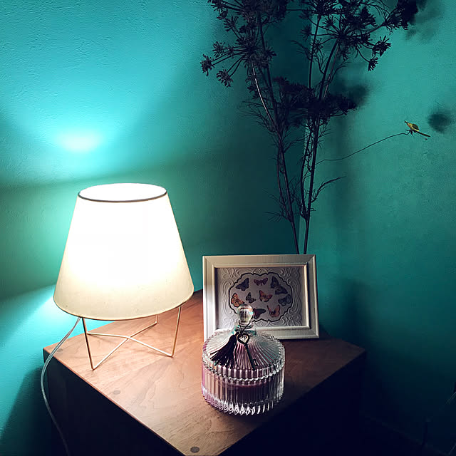 kanaさんの実例写真
