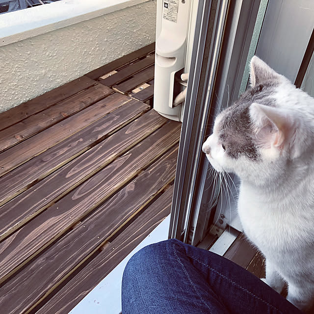 Keikoさんの実例写真