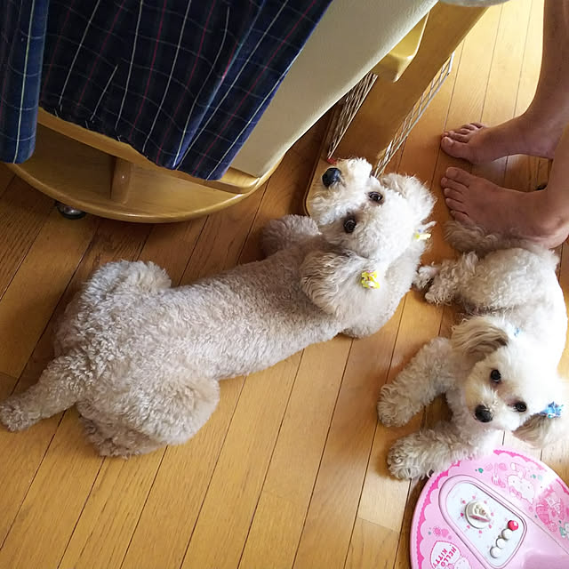 yumirinさんの実例写真