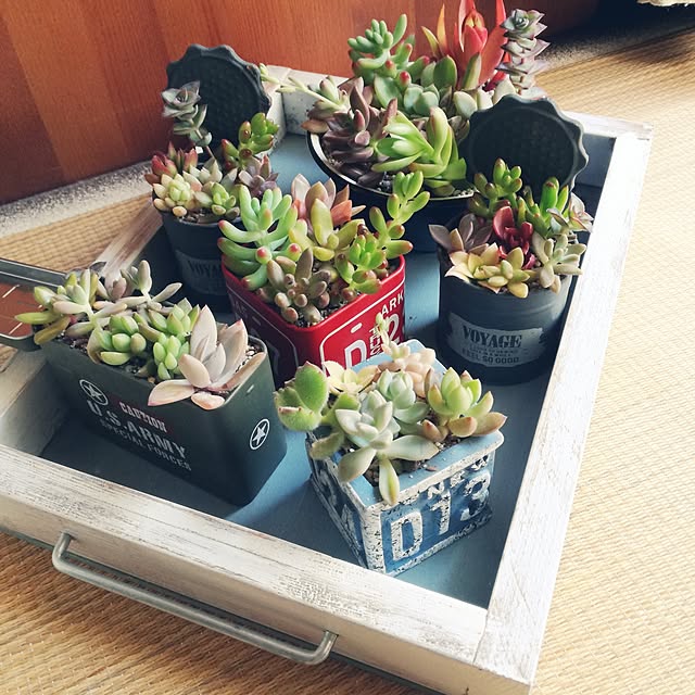 rookier05さんの実例写真