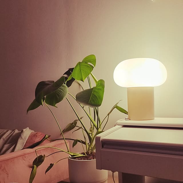 miffinさんの実例写真