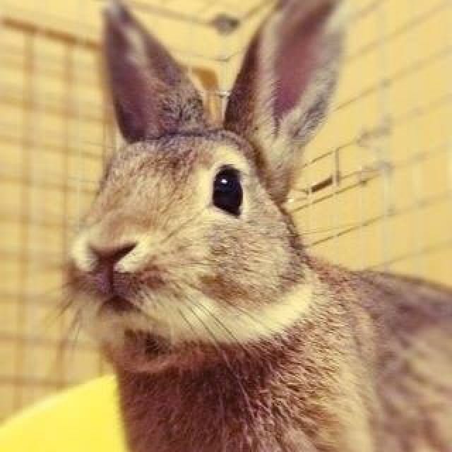 Yuukiさんの実例写真