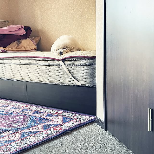 takoさんの実例写真