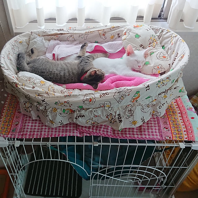 Masumiさんの実例写真