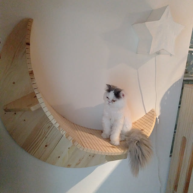 shimyu33さんの実例写真