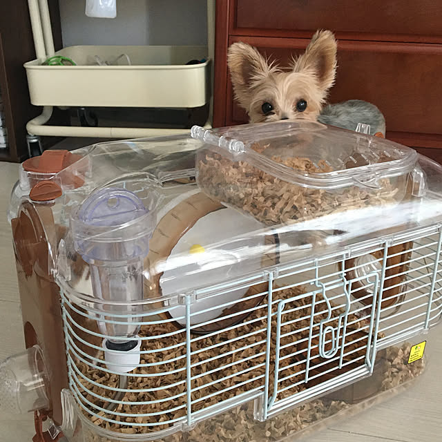 ohanaさんの実例写真