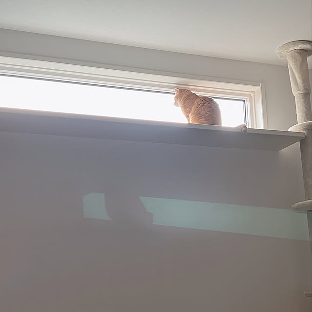 mochiさんの実例写真