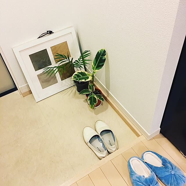 macy1030さんの実例写真