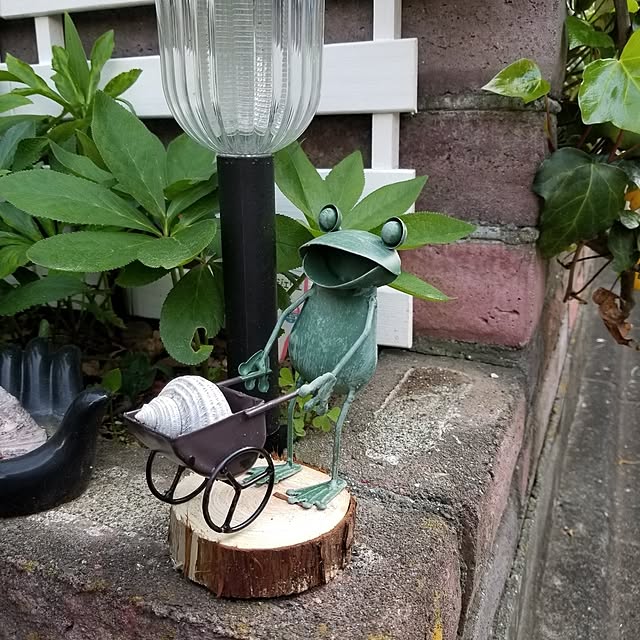midoriさんの部屋