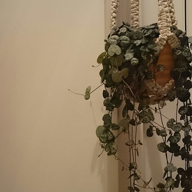 mignonさんの実例写真