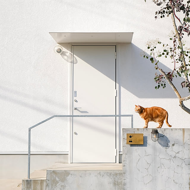 shiiiさんの実例写真