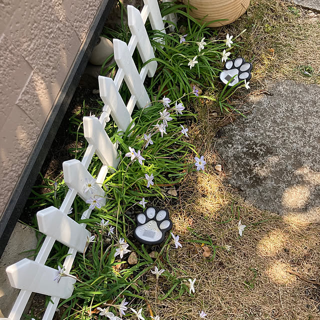 mamaさんの実例写真