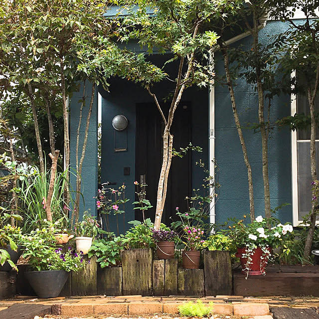 nobikoさんの部屋