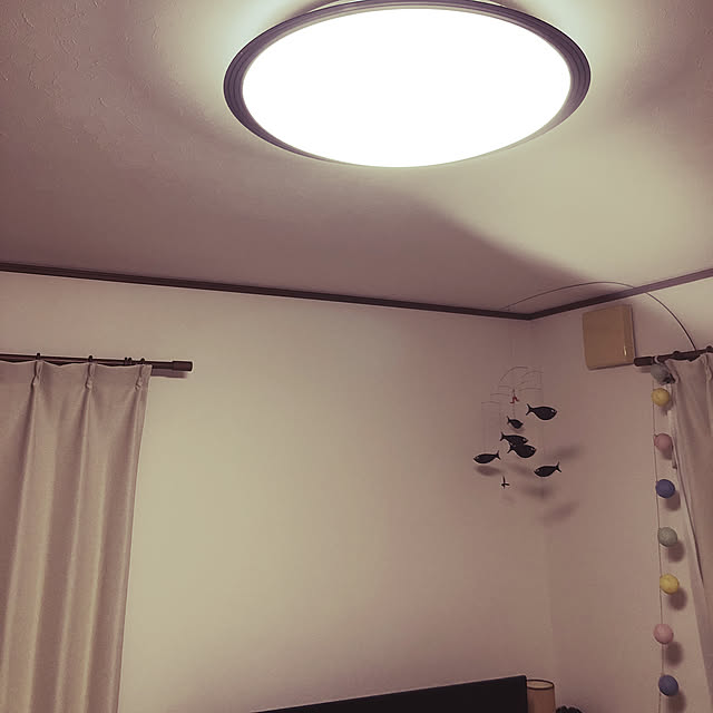 masa251さんの実例写真