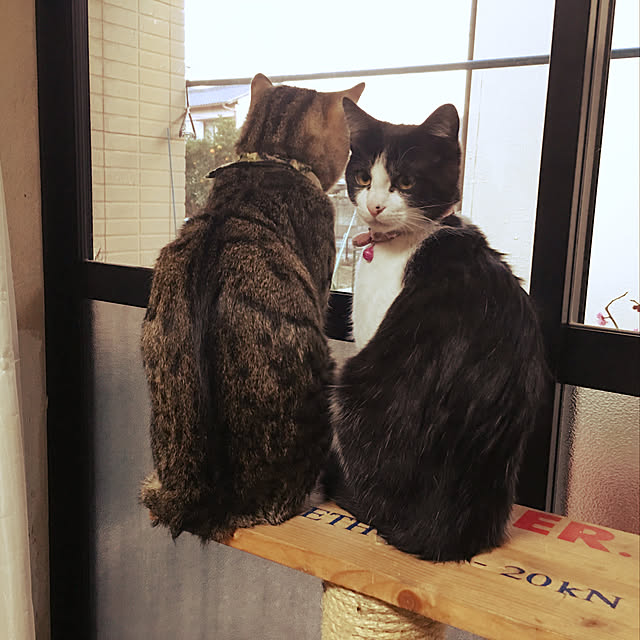 kmakkyiさんの実例写真