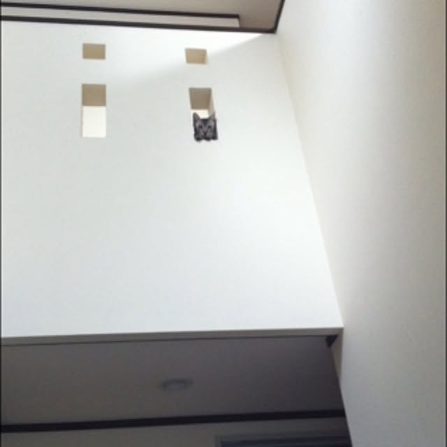 shienaさんの実例写真