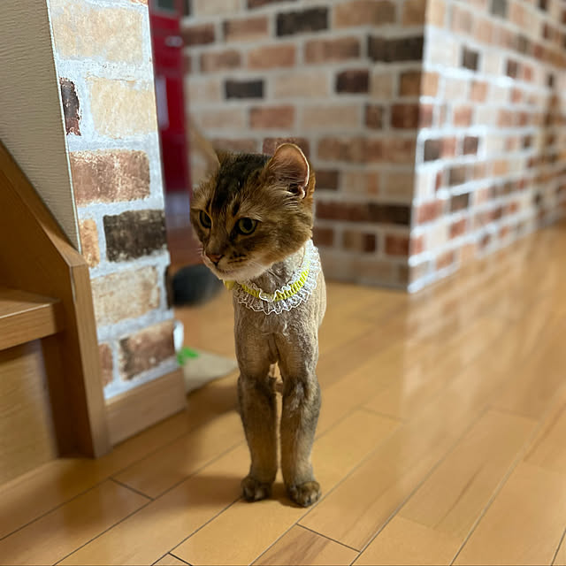 yuri.sさんの実例写真