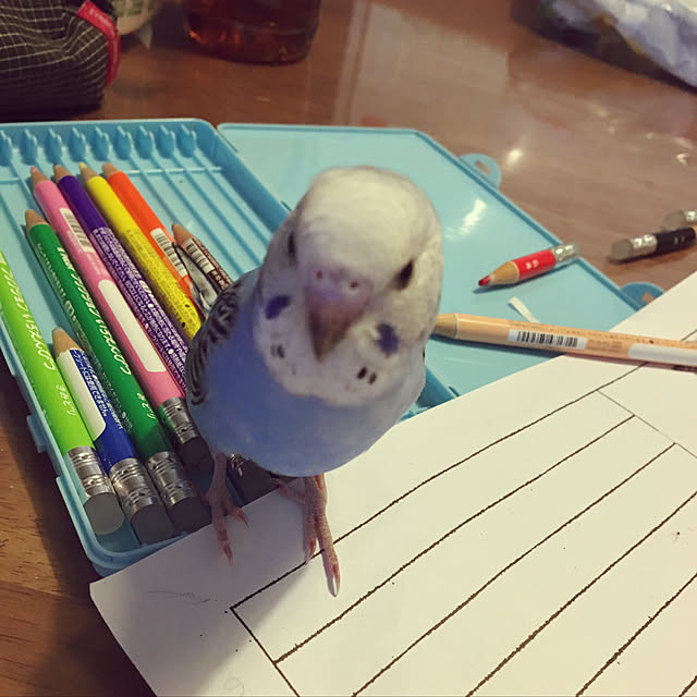 ohanaさんの実例写真