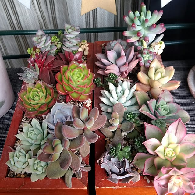 j.tさんの実例写真