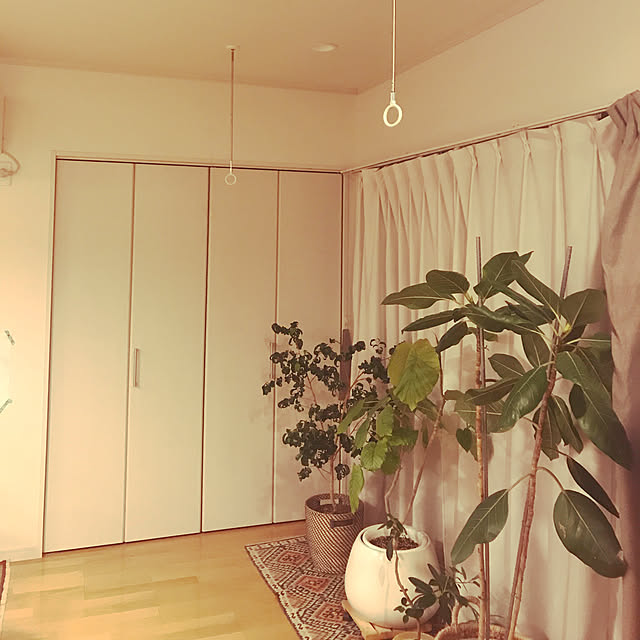 hirokanさんの実例写真