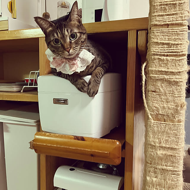 masamasaさんの実例写真
