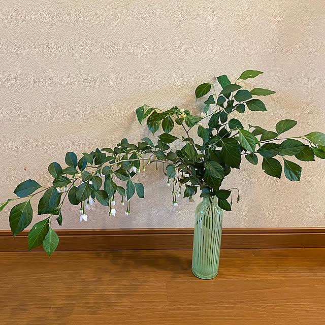 kaochanさんの実例写真